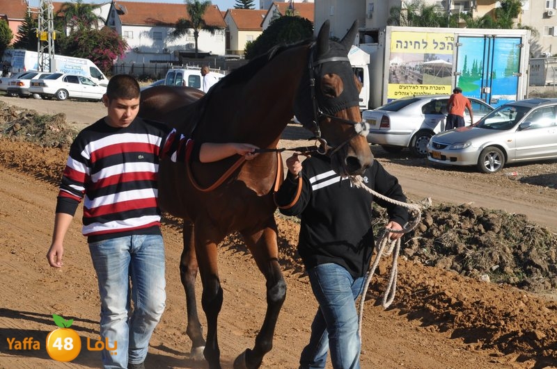 Khowoyouls ramala (19).JPG